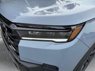 2026 Honda Pilot Black Edition