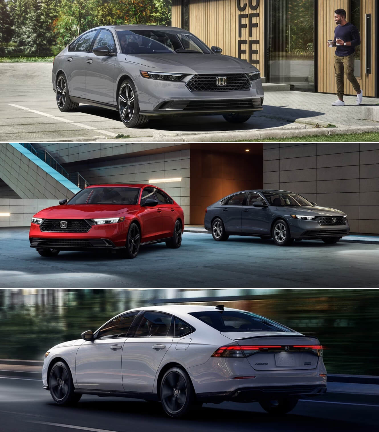 Why North Carolina Drivers Love the 2026 Honda Accord